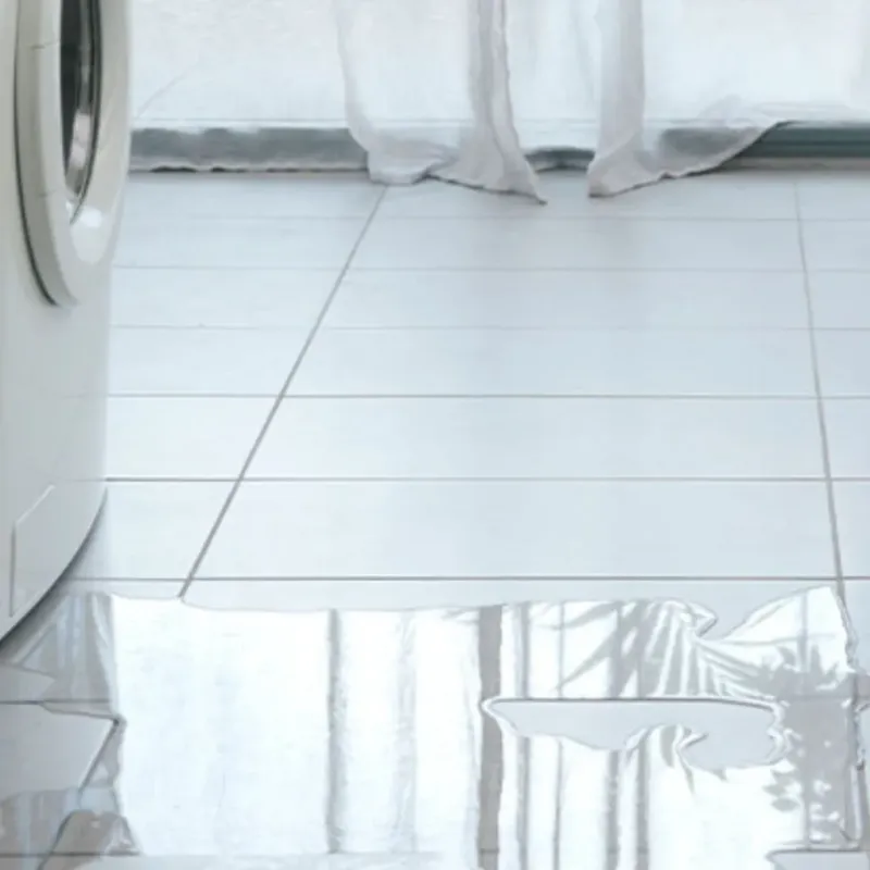 Appliance Leak Cleanup in Anderson, SC