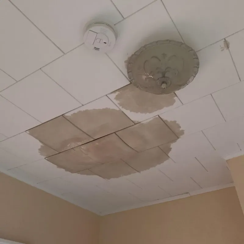 Ceiling Water Damage Repair in Anderson, SC