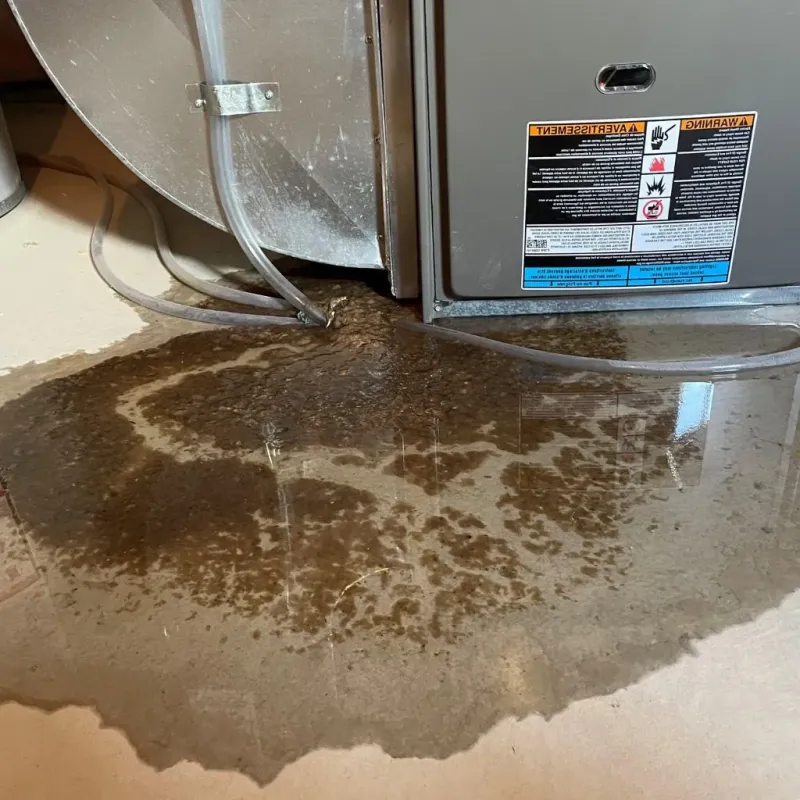 Pipe Burst and Leak Restoration in Anderson, SC