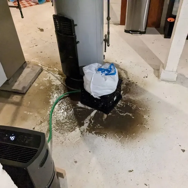 Sewage Backup Cleanup Service in Anderson, SC